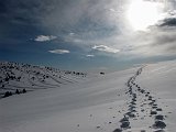 Salita con ciaspole al Rif. Magnolini (1612 m.) e al Monte Alto (1723 m.) dalla Malga alta di Pora il 7 marzo 09 - FOTOGALLERY